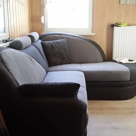 Golinski 2 *