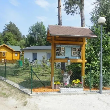 Golinski 2 *
